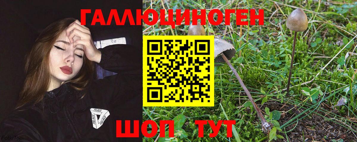 Псилоцибиновые грибы мухоморы  Вход с VPN  Псилоцибиновые грибы Cubensis  Ярославль 
